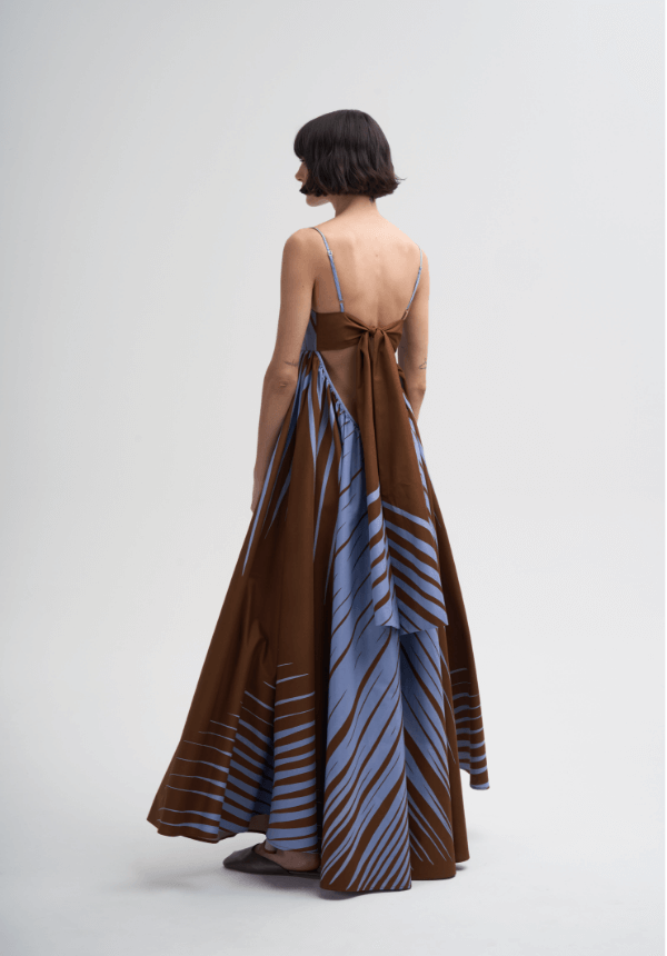 long women dress blue and brown